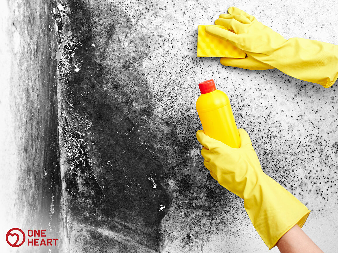 Get Rid of Mould & Mildew Home cleaning services in Singapore
